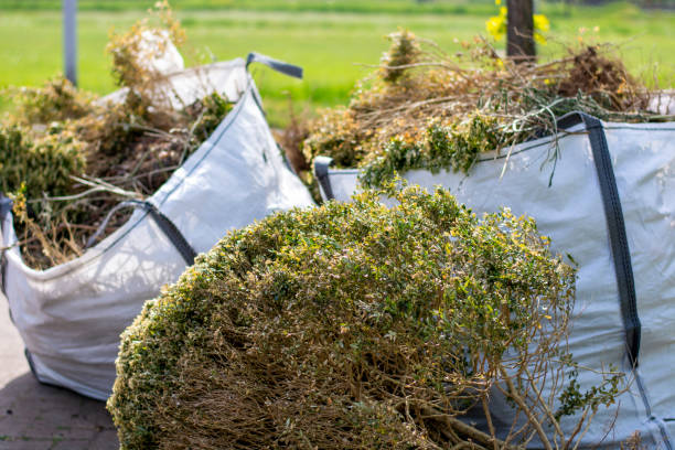 Best Demolition Debris Removal  in Bridgeview, IL